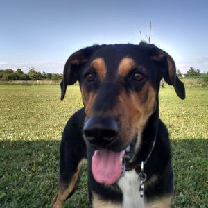 Meet your Posher, Shannon